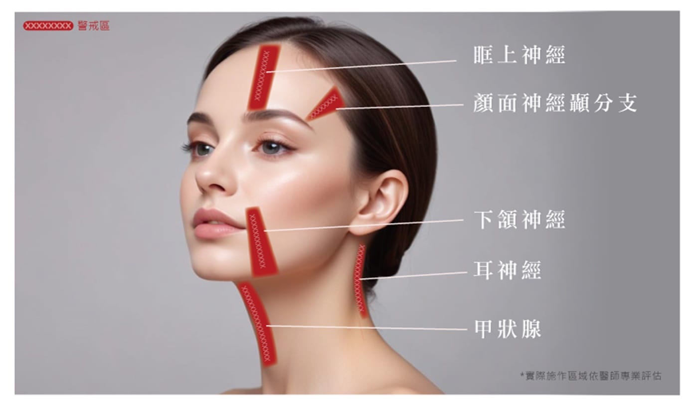 不可施打範圍示意圖