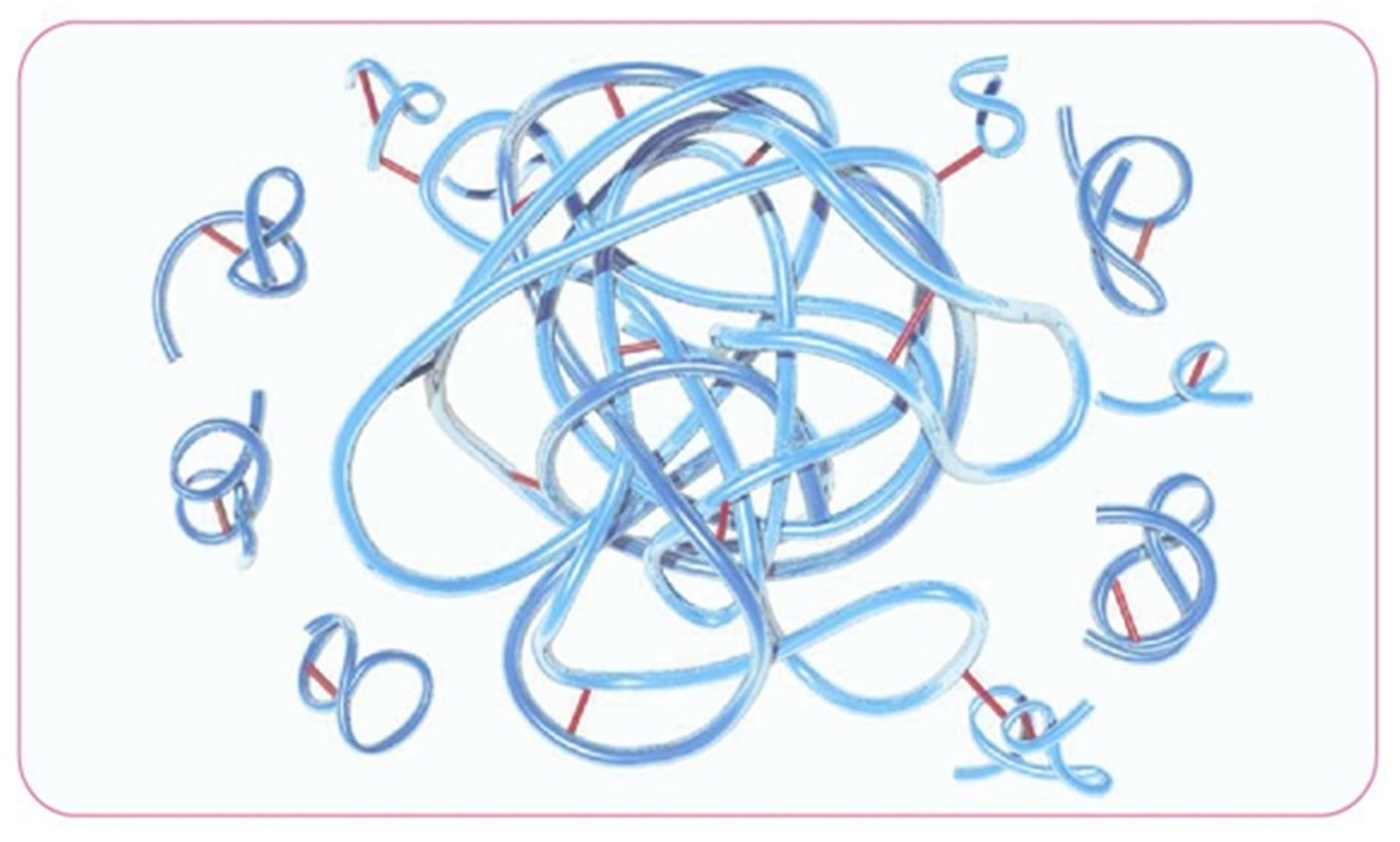 CHAP 專利交聯技術示意圖